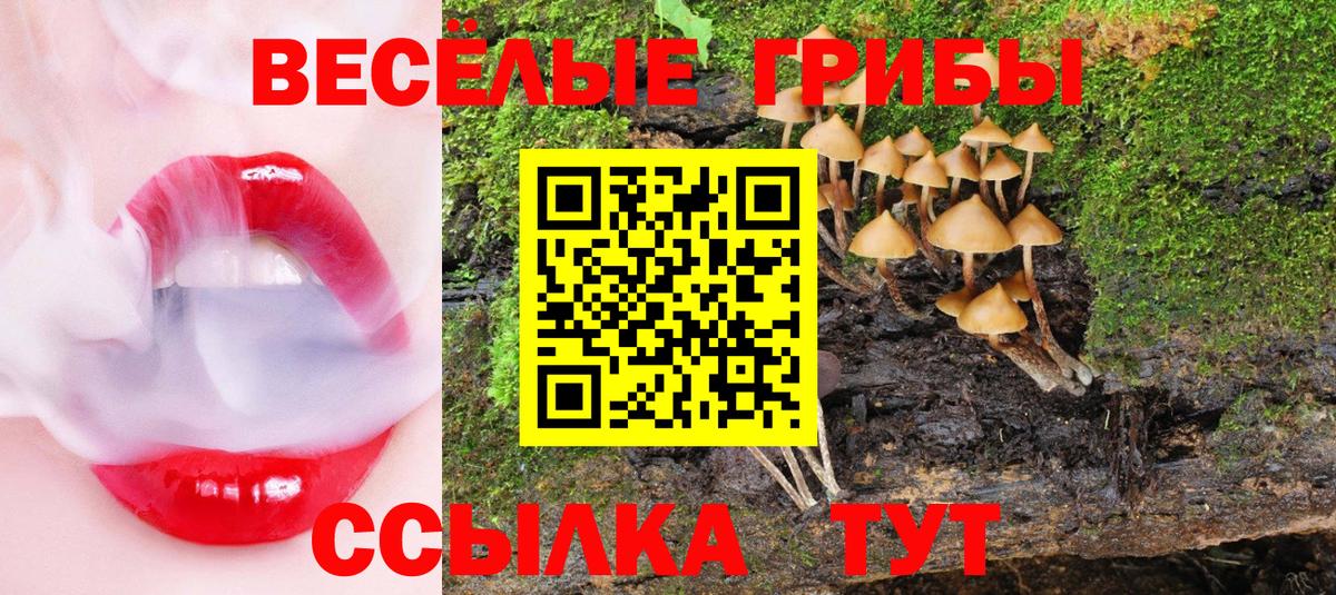 Галлюциногенные грибы мицелий  где найти   Вход с VPN  Каменка  Галлюциногенные грибы прущие грибы 