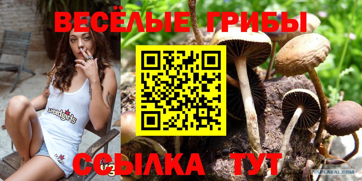 Галлюциногенные грибы ЛСД Каменка