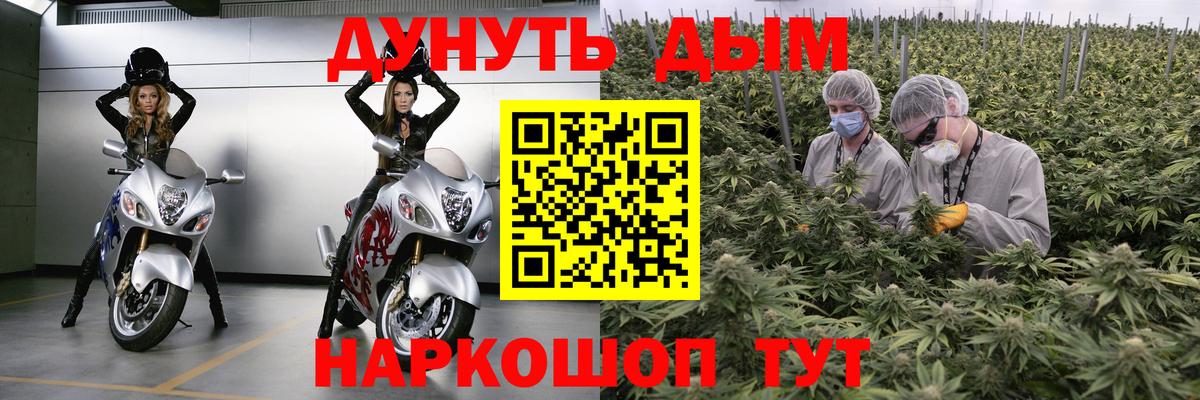 Каменка  Канабис Bruce Banner  Шишки марихуана план  Вход с VPN  Канабис план 